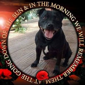 Meet your Posher, Sharyn lee